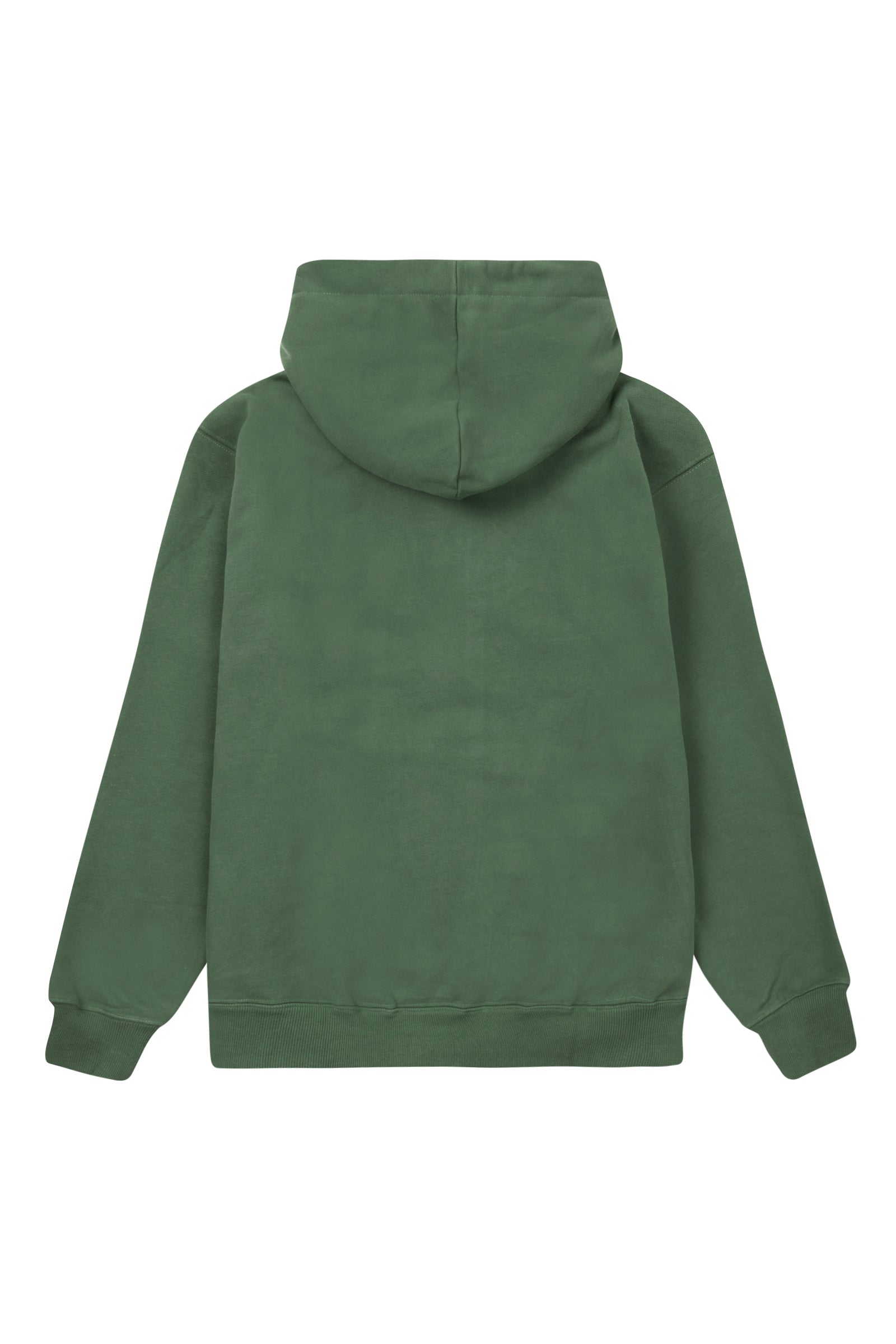 Cozy Hoodie Sea Green